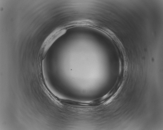 X0000056371196200508291352