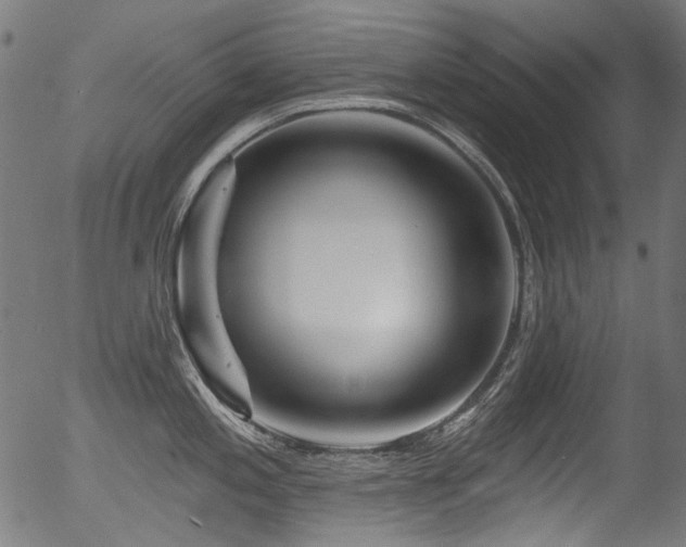 X0000056371197200508291352