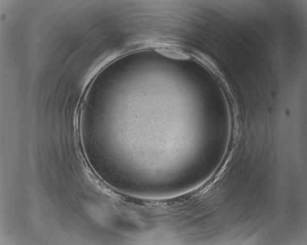 X0000056371198200508291352