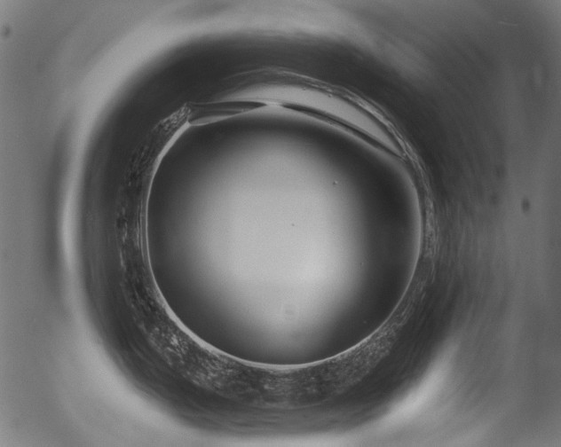 X0000056371199200508291352