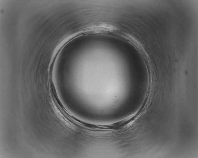 X0000056371200200508291352