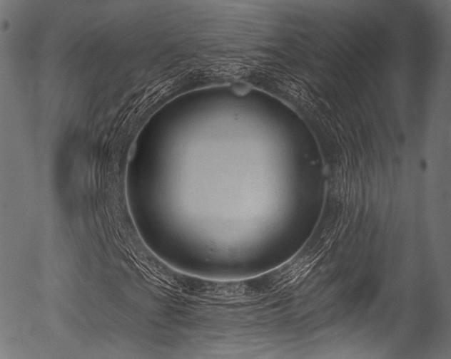 X0000056371201200508291352