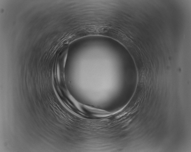 X0000056371202200508291352