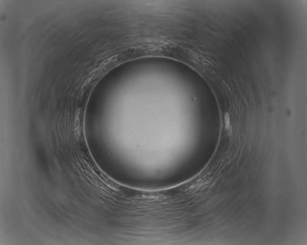 X0000056371203200508291352