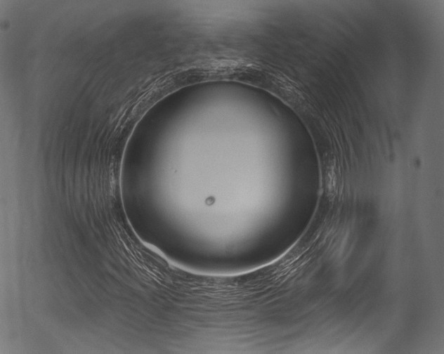 X0000056371204200508291352