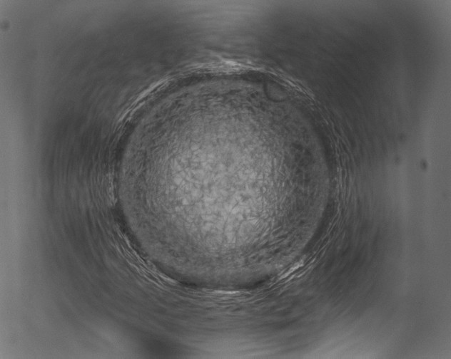 X0000056371205200508291352