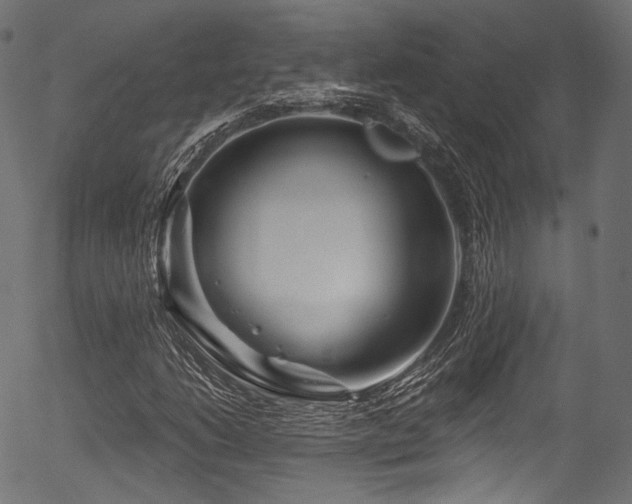 X0000056371206200508291352