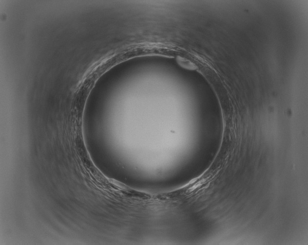 X0000056371207200508291352