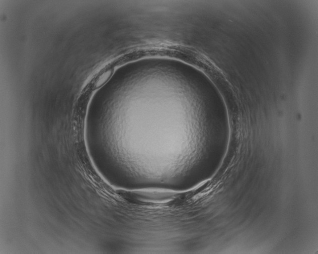 X0000056371208200508291352