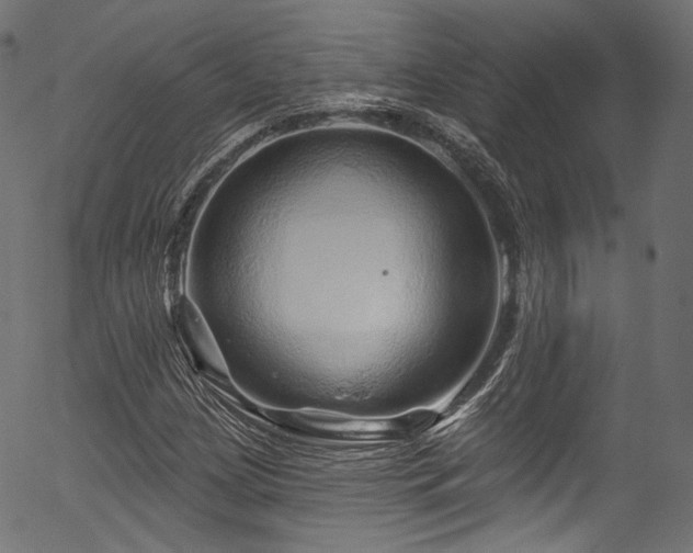 X0000056371209200508291352