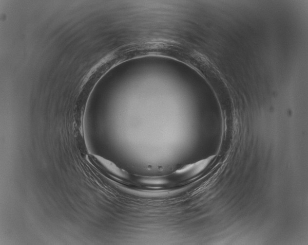 X0000056371210200508291352