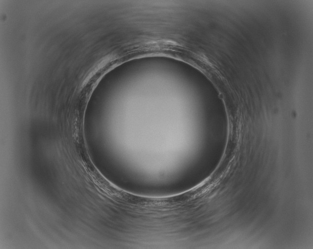 X0000056371211200508291352