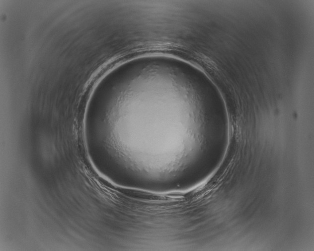 X0000056371212200508291352