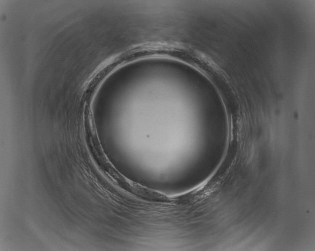 X0000056371213200508291352