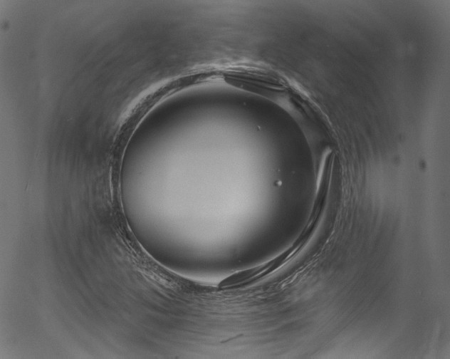 X0000056371214200508291352