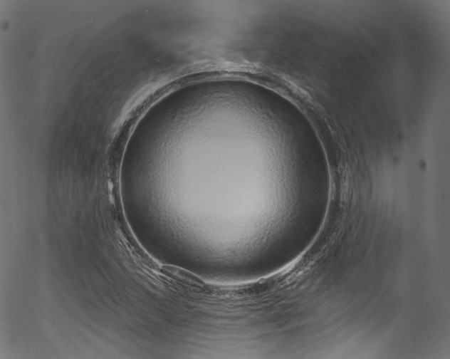 X0000056371215200508291352