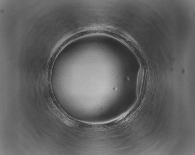 X0000056371216200508291352