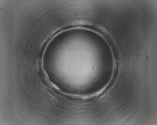 X0000056371217200508291352