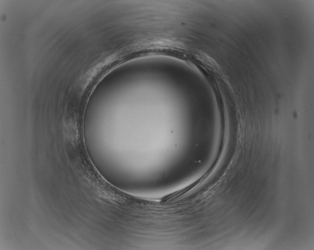 X0000056371218200508291352