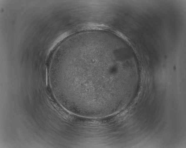 X0000056371219200508291352