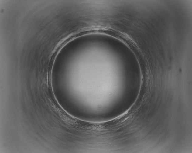 X0000056371220200508291352