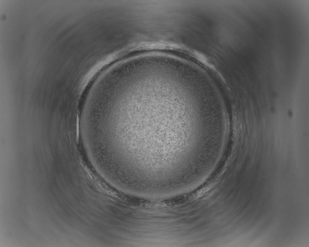 X0000056371221200508291352