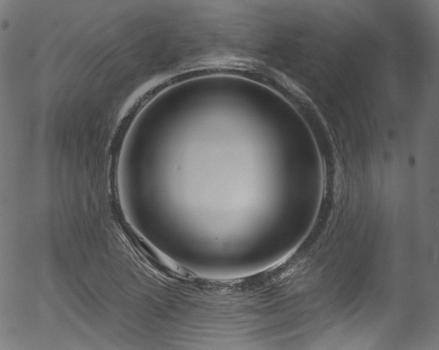 X0000056371222200508291352