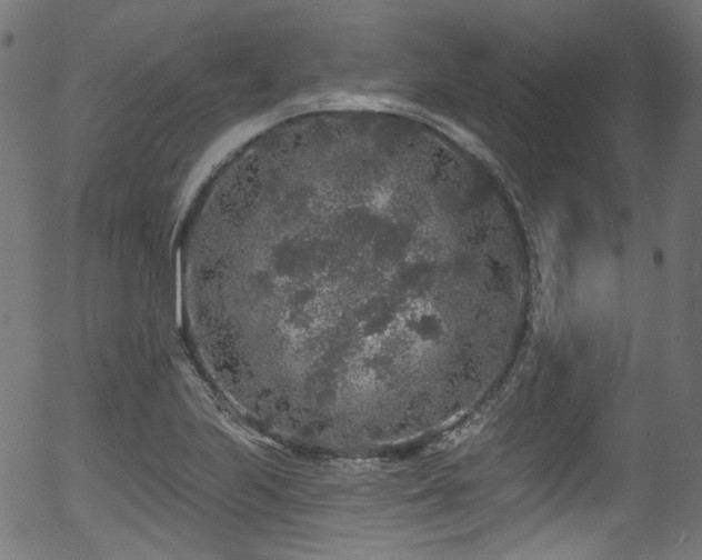 X0000056371223200508291352