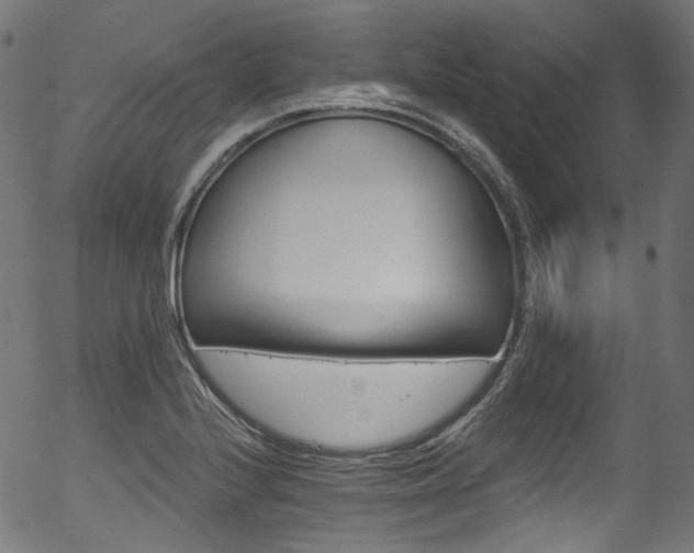 X0000056371224200508291352