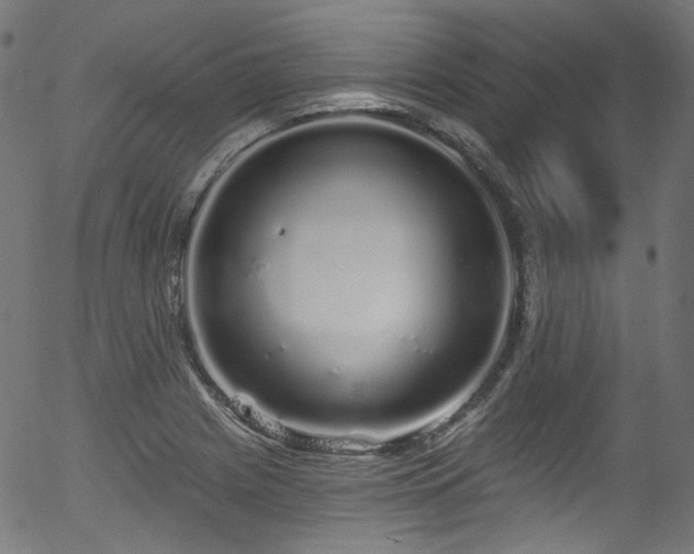 X0000056371225200508291352