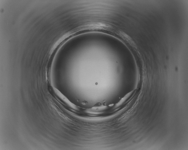 X0000056371226200508291352