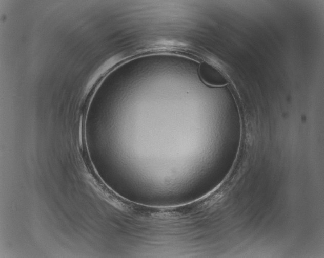 X0000056371227200508291352