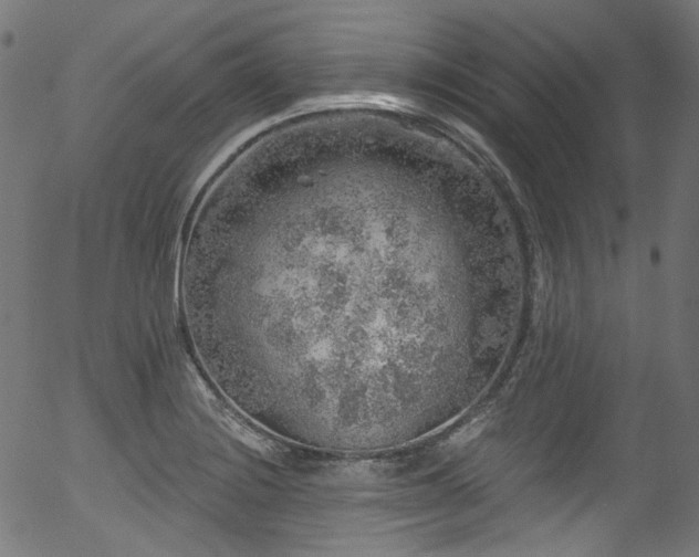 X0000056371228200508291352