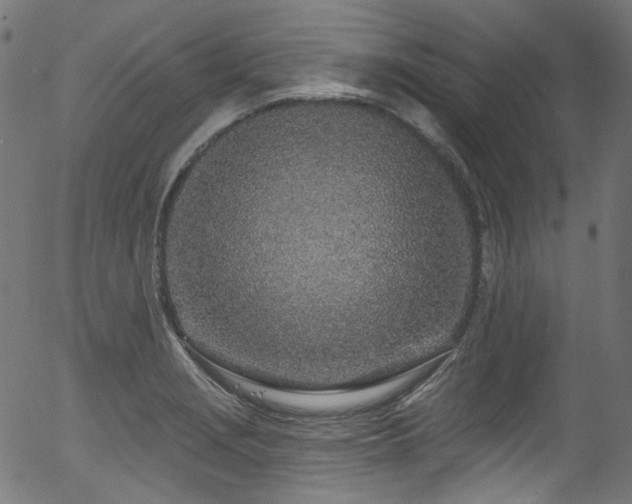 X0000056371229200508291352