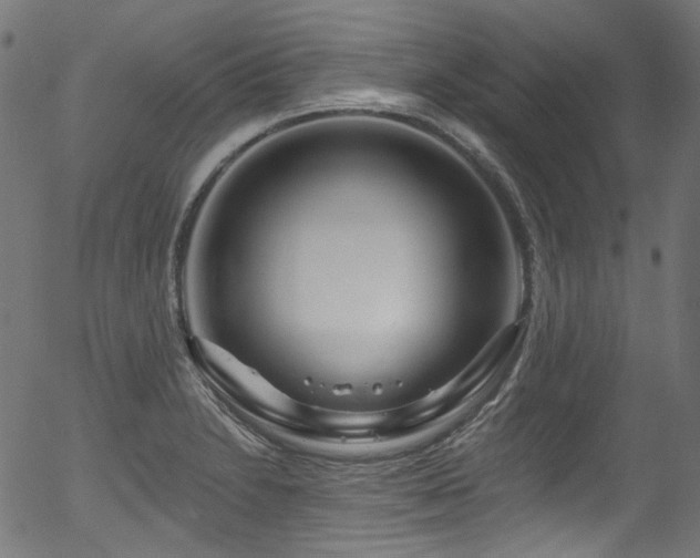 X0000056371230200508291352