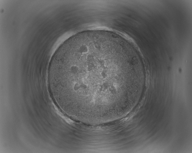 X0000056371231200508291352