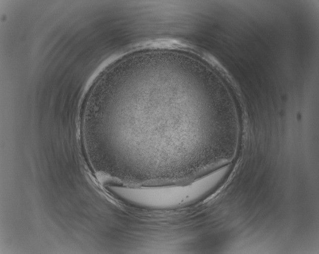 X0000056371232200508291352