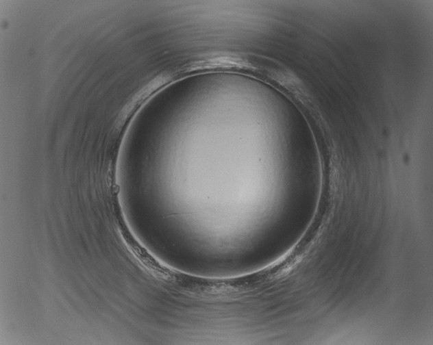 X0000056371233200508291352