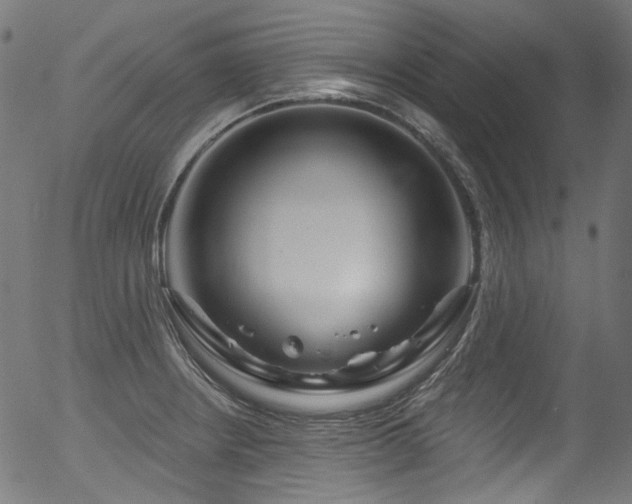 X0000056371234200508291352