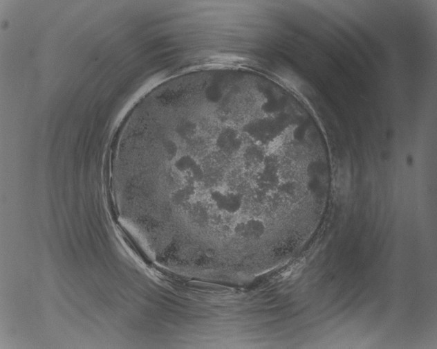 X0000056371235200508291352