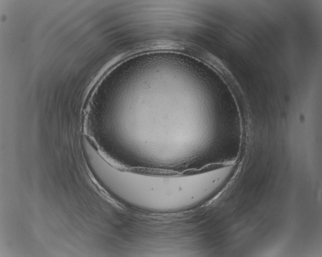 X0000056371236200508291352