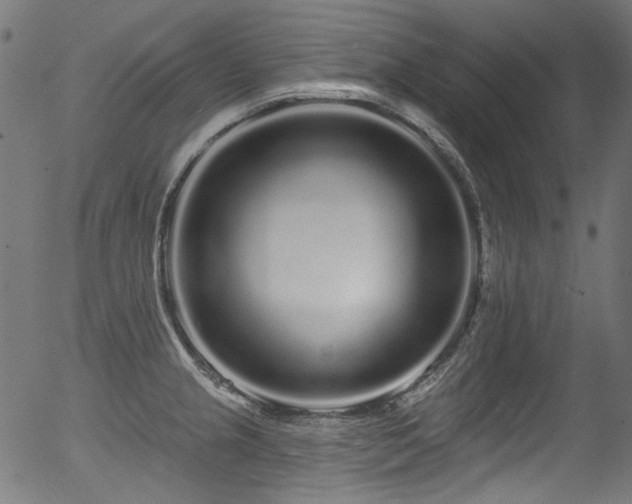 X0000056371237200508291352