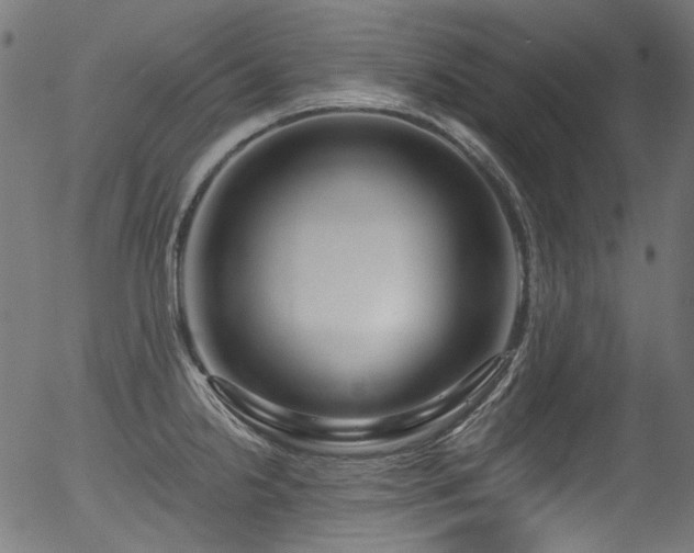 X0000056371238200508291352