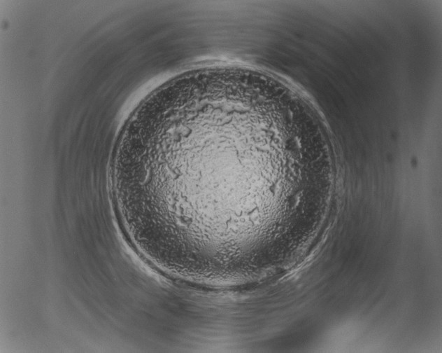 X0000056371239200508291352