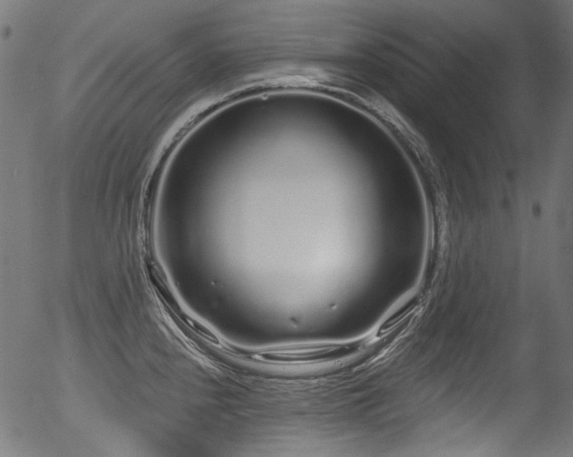 X0000056371240200508291352