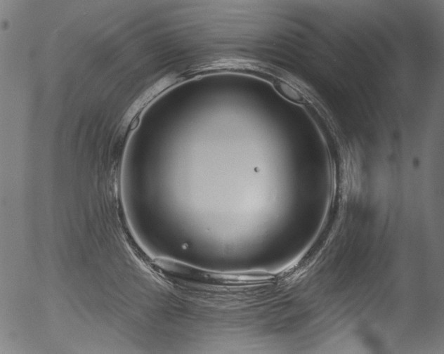 X0000056371241200508291352