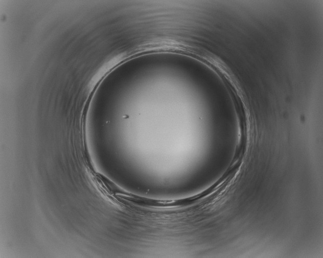 X0000056371242200508291352