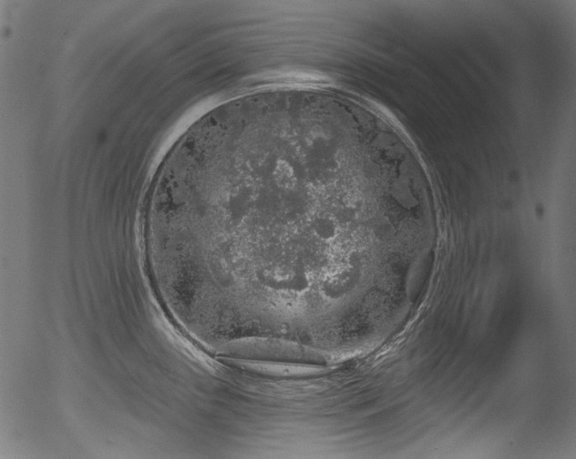 X0000056371243200508291352