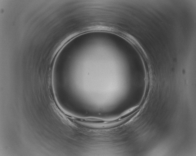 X0000056371244200508291352