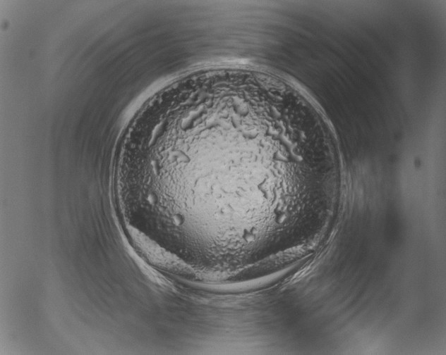 X0000056371245200508291352